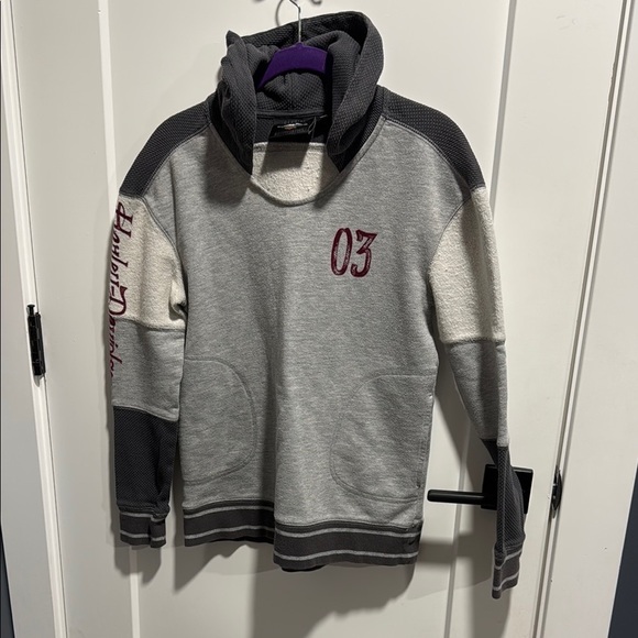 Harley Davidson Hoodie with Pockets - Picture 1 of 10